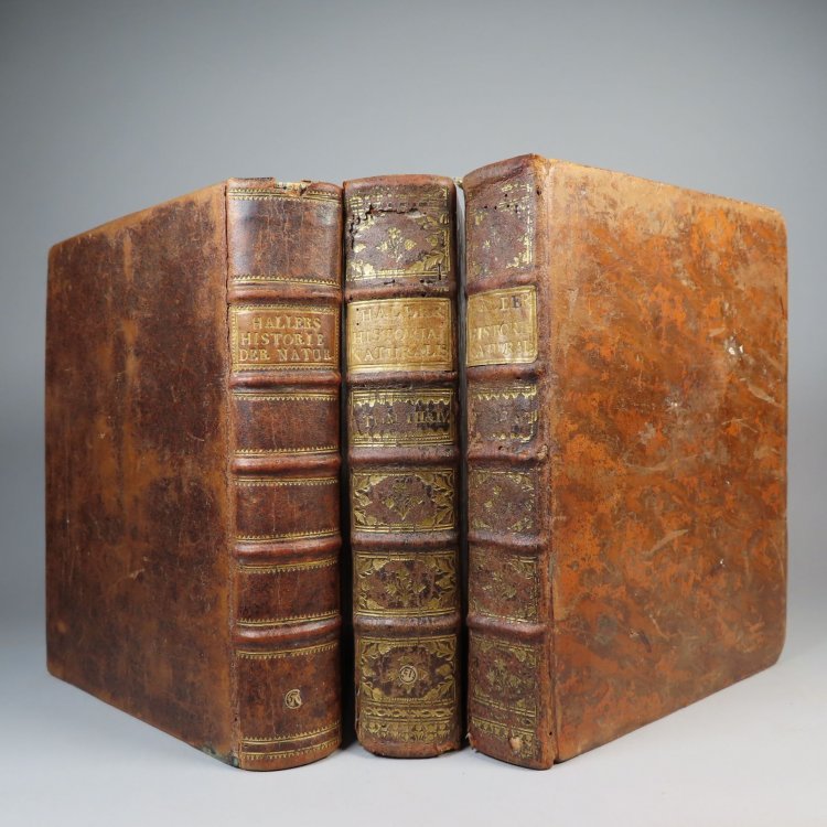 Image for Allgemeine Historie der Natur nach allen ihren besondern Theilen abgehandelt: nebst einer Beschreibung der Naturalienkammer Sr. Majestat des Koniges von Frankreich. Mit einer Vorrede Herrn Doctor Albrecht von Haller, Konigl. Grossbritannischen Hofraths und Leibarztes, Lehrers der Arztney auf der hoh Allgemeine Historie der Natur nach allen ihren besondern Theilen abgehandelt: nebst einer Beschreibung der Naturalienkammer Sr. Majestat des Koniges von Frankreich. Mit einer Vorrede Herrn Doctor Albrecht von Haller, Konigl. Grossbritannischen Hofraths und Leibarztes, Lehrers der Arztney auf der hoh