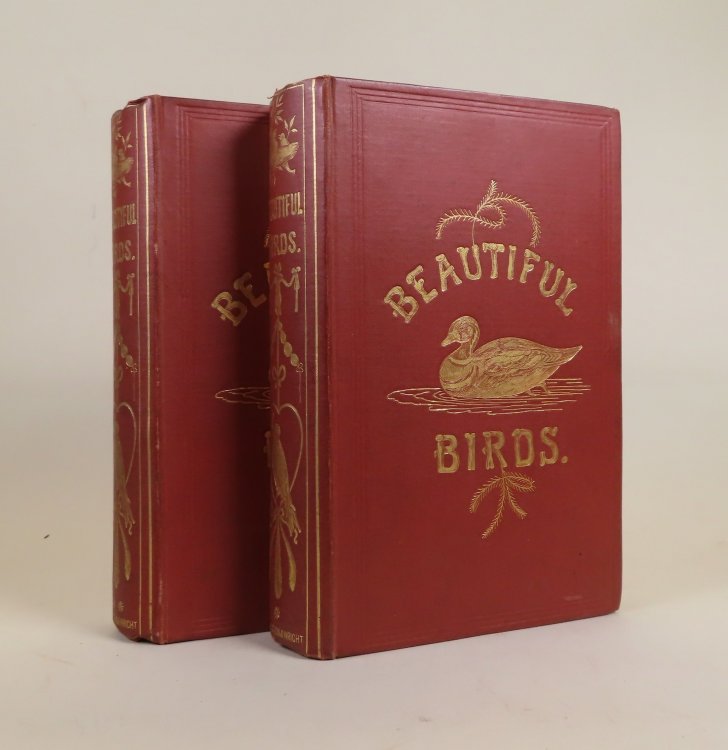 Beautiful Birds Described; Edited from the Manuscript of John Cotton with Thirty-Six Illustrations in Colours [Two Volumes]