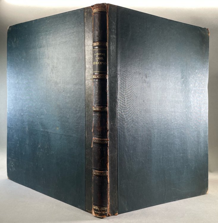Naturgeschichte der Vogel Europa's [Two Volume Set]