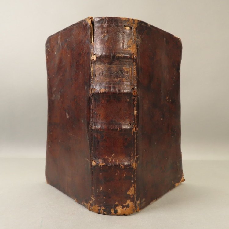 Ioannis Severini Conspectus historiae Hungaricae a prima gentis origine ad memoriam nostram perductae. Res gestas regum omnium, ad annum usque M.DCC.LXXV. complexa