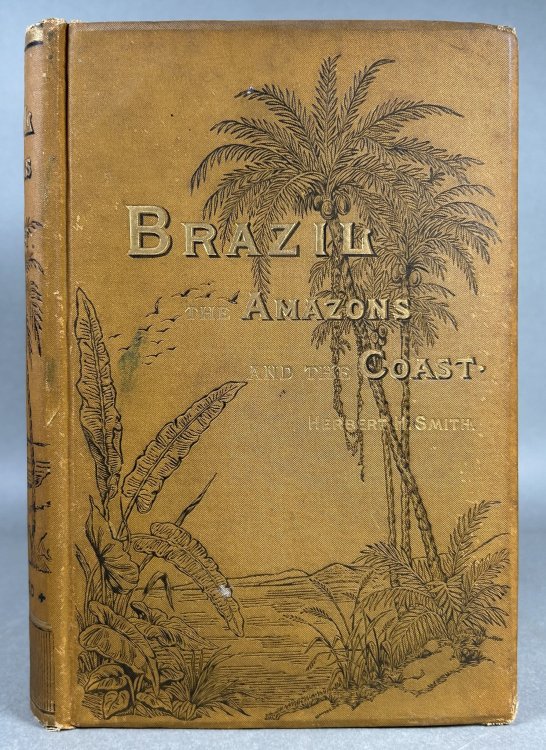 Brazil: The Amazons and the Coast