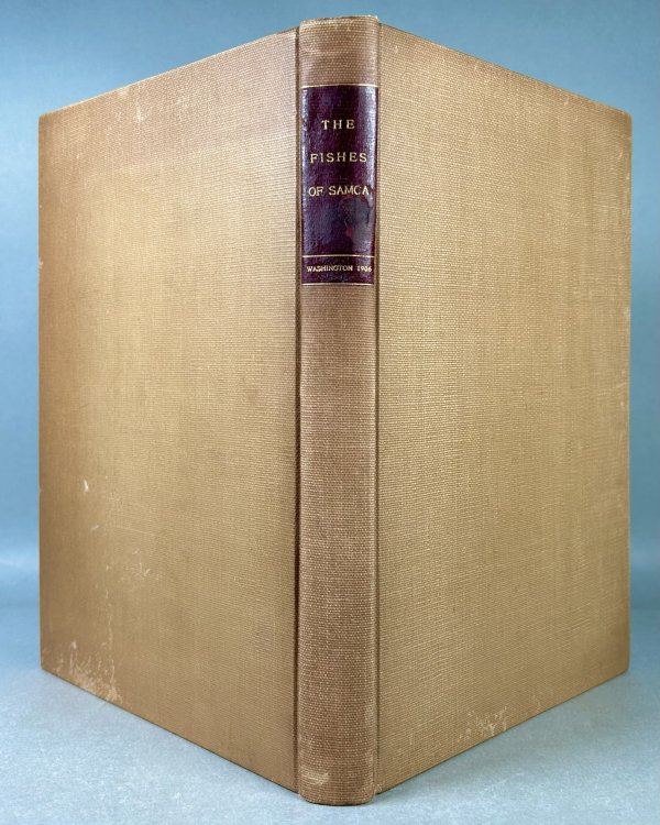 The Fishes of Samoa; Description of the Species Found in the Archipelago, with a Provisional Check-List of the Fishes of Oceania from Bulletin of the Bureau of Fisheries Volume XXV, 1905, Pages 173 to 455, Plates XXXIII to LIII