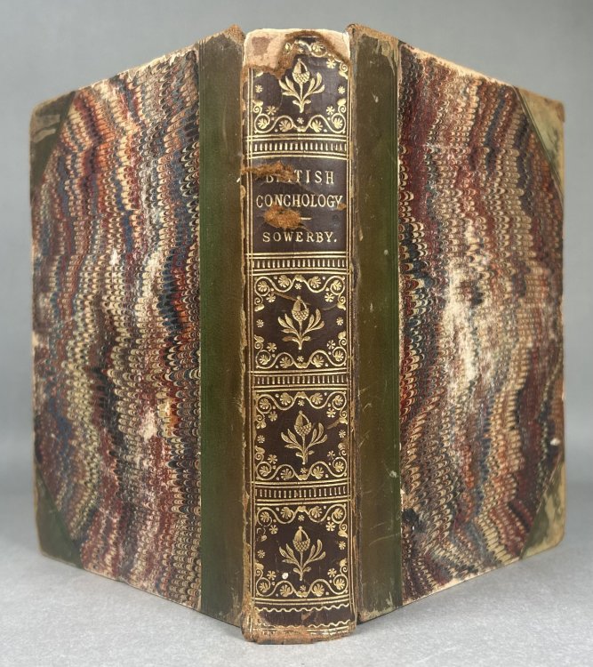 Popular British Conchology. A Familiar History of the Molluscs Inhabiting the British Isles.
