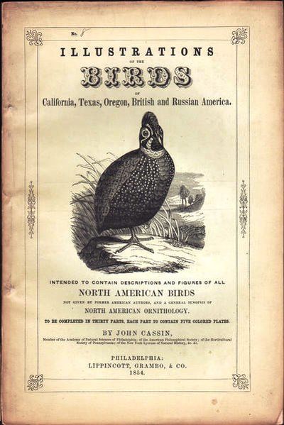 Illustrations of the Birds of California, Texas, Oregon, British and Russian America. Fascicule 8. Text pages 213-240 & plates 36-40 as issued in original wraps.
