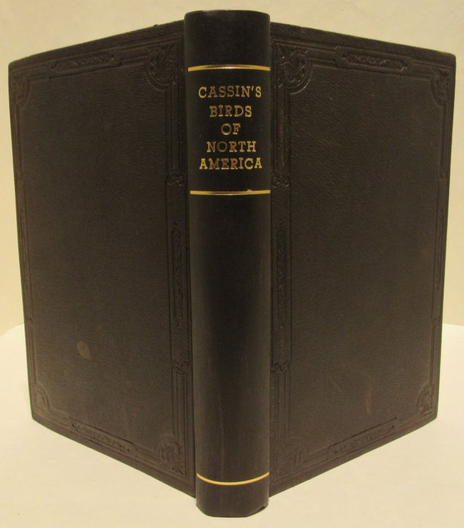 Illustrations of the Birds of California, Texas, Oregon, British and Russian America. Intended to Contain Descriptions and Figures of all North American Birds not given by Former American Authors, and a General Synopsis of North American Ornithology.