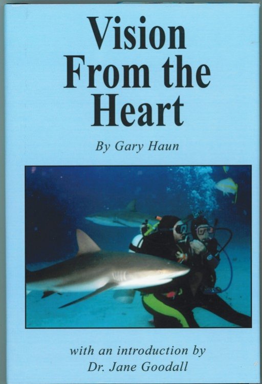 Vision from the Heart