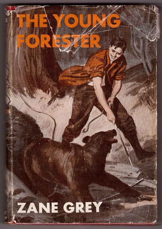 The Young Forester