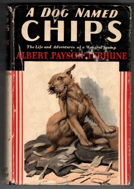 A Dog Named Chips The Life and Adventures of a Mongrel Scamp