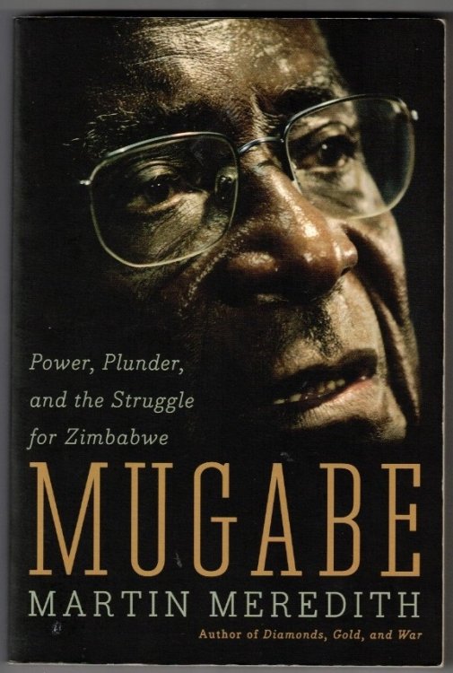 Mugabe Power, Plunder, and the Struggle for Zimbabwe