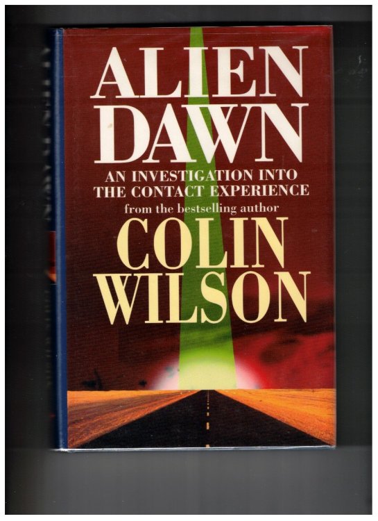 ALIEN DAWN AN INVESTIGATION INTO THE CONTACT EXPERIENCE