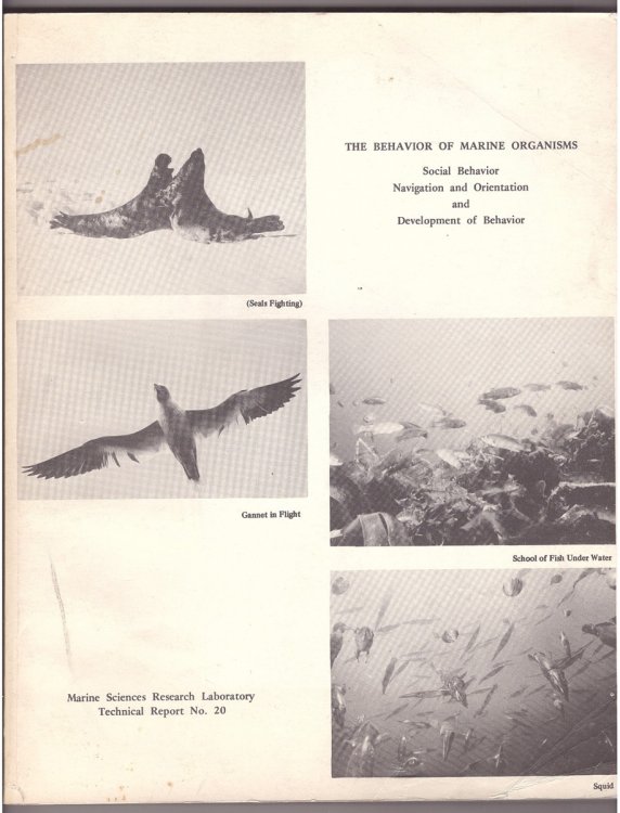 The Behavior of Marine Organisms