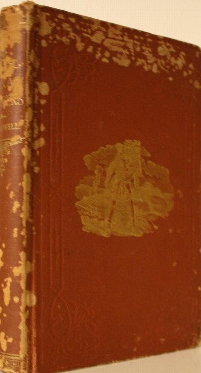 Rangers and Pioneers of Texas With A Concise Account of the Early Settlements, Hardships, Massacres, Battles, and Wars, By Which Texas Was Rescued From The Rule of the Savage and Consecrated to the Empire of Civilization