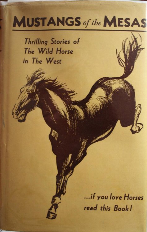 Mustangs of the Mesas A Saga of the Wild Horse