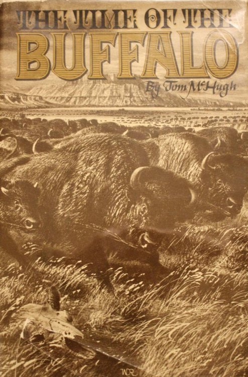 The Time of The Buffalo