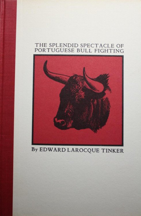 The Splendid Spectacle Of Portuguese Bull Fighting