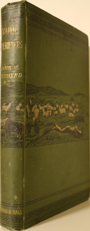 Prairie Experiences In Handling Cattle And Sheep