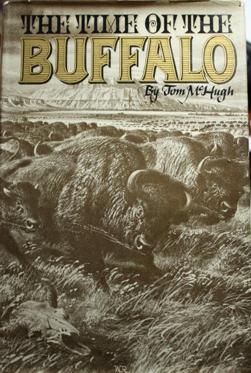 Image for The Time of The Buffalo The Time of The Buffalo