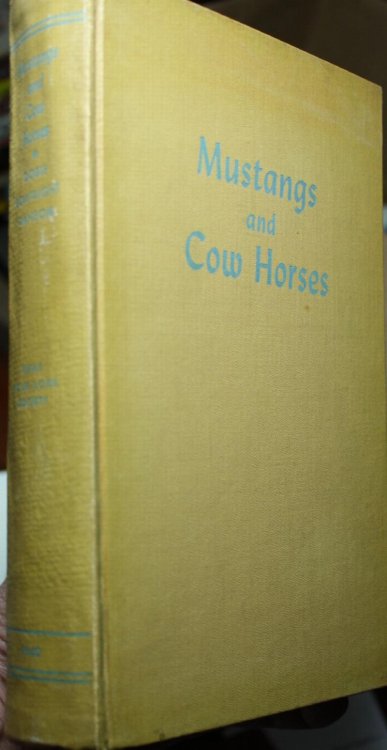 Mustangs And Cow Horses