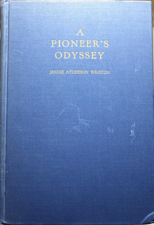 A Pioneer's Odyssey