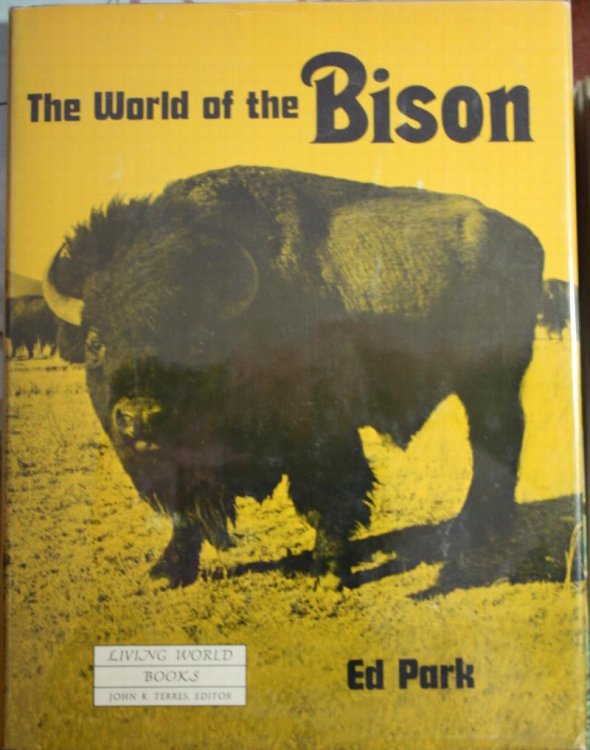 The World of the Bison
