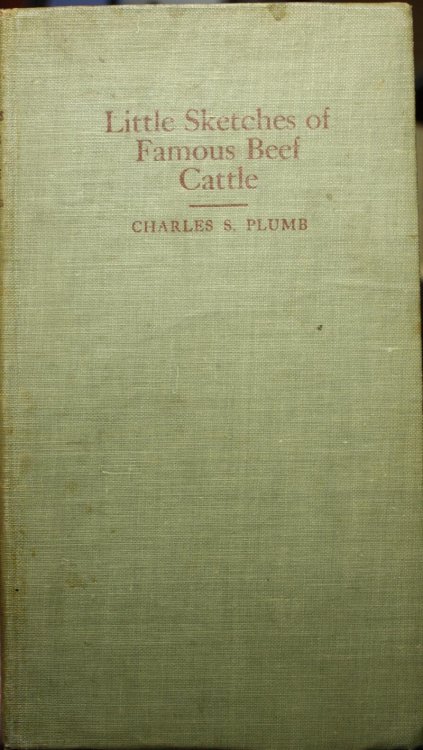 Little Sketches of Famous Beef Cattle