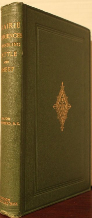 Prairie Experiences In Handling Cattle And Sheep