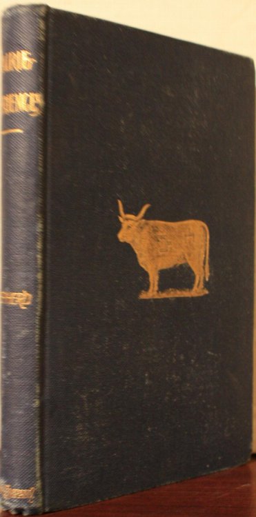Prairie Experiences In Handling Cattle And Sheep