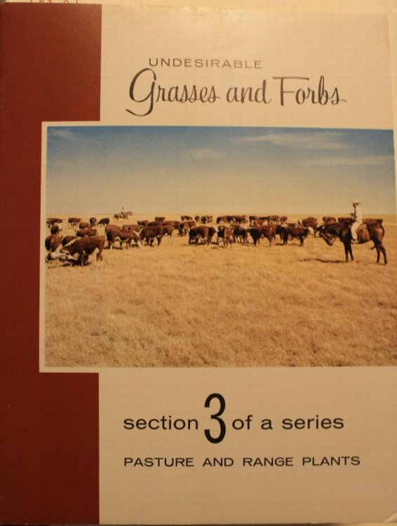 Undesirable Grasses and Forbs Section 3 of a series Pasture And Range Plants