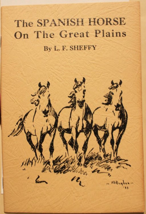 The Spanish Horse On The Great Plains