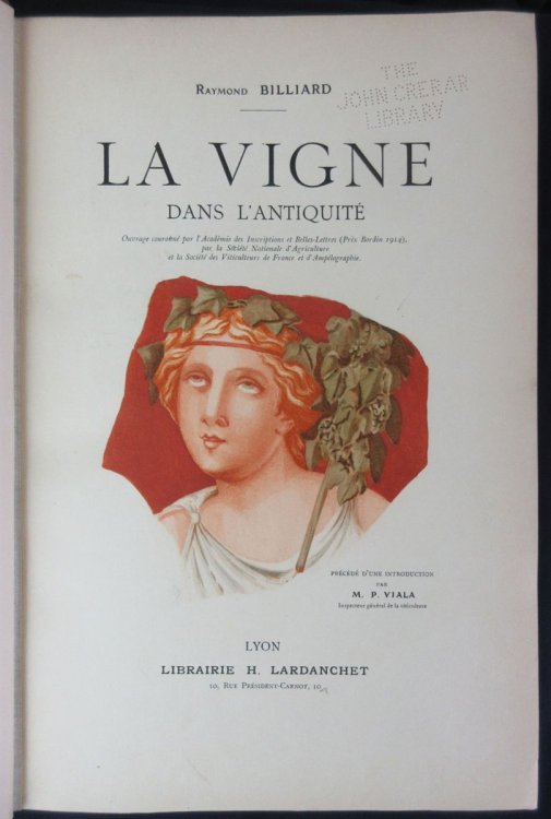 La Vigne Dans L'Antiquite