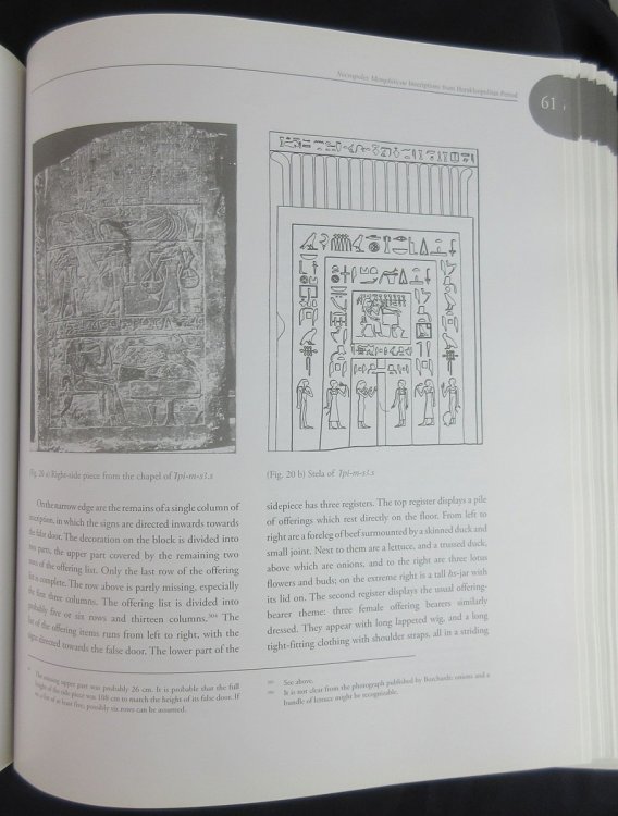 Necropoles Memphiticae; Inscriptions from the Herakleopolitan Period