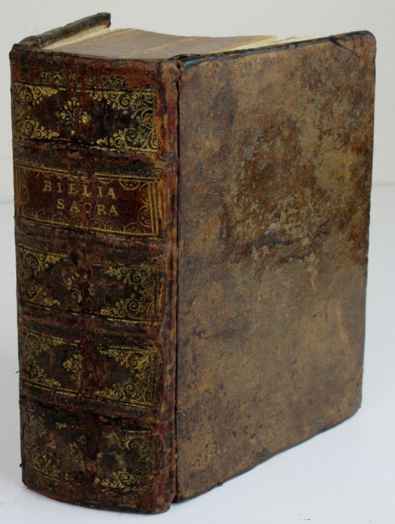 Biblia Latina. [Biblia Integra, Summata, Distincta, Accuratius Reemendata, Utriusque Testamenti Concordantiis Illustrata]