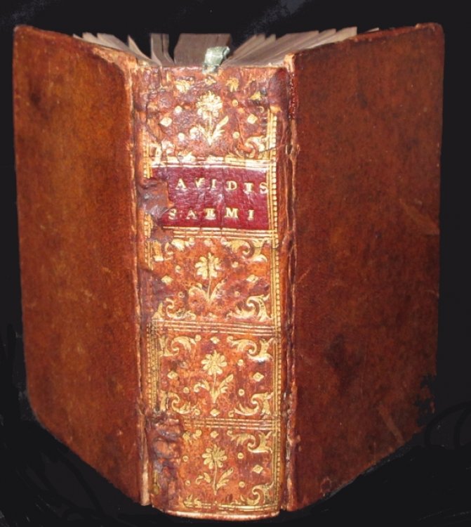 1576 Psalms: Davidis Psalmi: Argumentis, Orationibus, Et Annotationibus : Maiore Multo, Quam Antea, & Perspicuitate, & Brevitate Illustrati