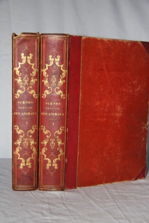 Scenes De La Vie Privee et Publique Des Animaux: Etudes De Moeurs Contemporaines (2 volumes)