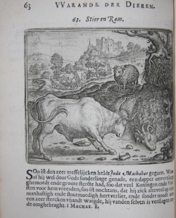 Vorsteliicke Warande der Dieren. De Helden Godes des Ouwden Verbonds. De Heerlyckheyd van Salomon. Hierusalem Verwoest. De Vernieuwde Gulden Winckel der Kunstlievende Nederlands. (Five works bound in one)