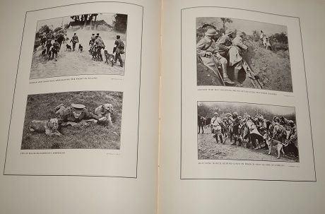 Educated Dogs of To-Day; An Illustrated Record of Canine Intelligence Marking an Advance with the Modern Movement of Man