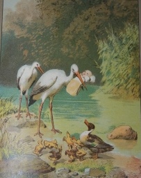 Aus der Kinderwelt
