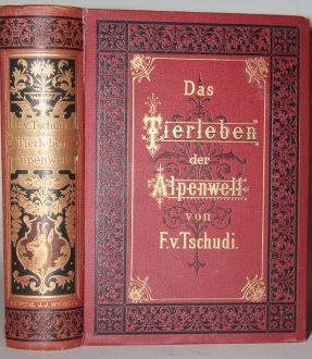 Das Tierleben der Alpenwelt