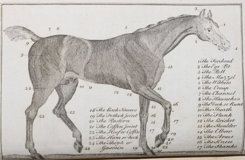 The Art of Farriery Both in Theory and Practice, Containing the Causes, Symptoms, and Cure of all Diseases incident to Horses. . .