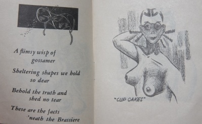 A true story . . . . the Grand Deception or Behind the Buildup. Breastypes! What's Yours