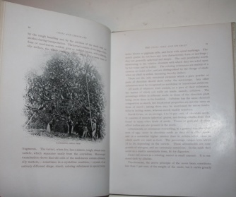 Cocoa and Chocolate. A short history of their production and use.; With numerous illustrations of the Cocoa Tree and its products; and of Walter Baker & Co.'s manufactory, the oldest and largest establishment of its kind on this continent