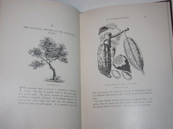 The Chocolate-Plant (Theobroma Cacao) and Its Products