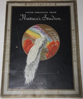 Color Creations from Nature's Studios; Revealing her Masterly Manipulation of Color Through the Medium of Super Motor Car Creations