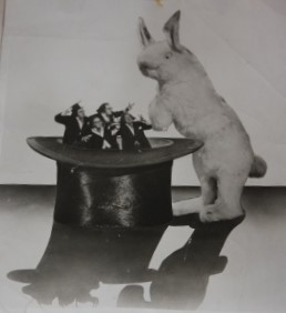 Two humorous photos of a magician, a stuffed rabbit and a top hat