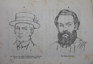 Catecismo y Guia del Vegetariano