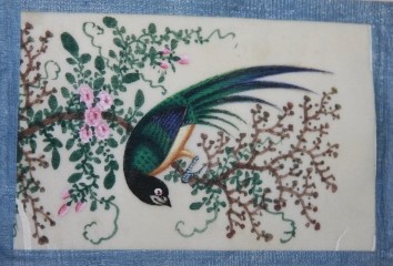 Album of a Dozen Chinese Watercolors of Colorful Birds on Pith Paper, 19th Century