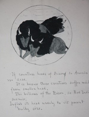 Zoo Nonsense Verses