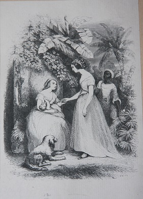 [Onlay Binding] Paul and Virginia; With an Original Memoir of the Author, and Three hundred and Thirty Illustrations