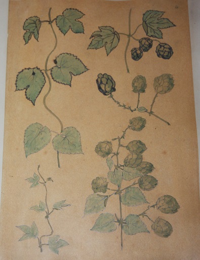 Floral Design Album of a Furniture Maker