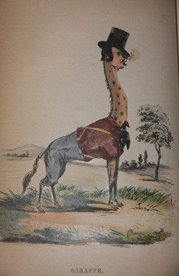 Comic Natural History of the Human Race
